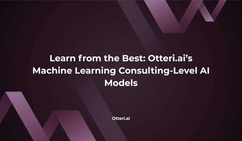Learn from the Best: Otteri.ai’s Machine Learning Consulting-Level AI Models
